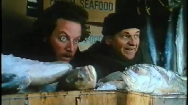 Kevin 2 - Allein in New York Trailer SD (Deutsch) (1992)